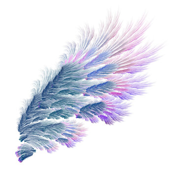 Dark green purple abstract tropical bird wings illustration