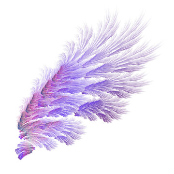 Purple abstract bird wings illustration