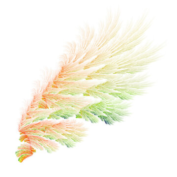 Green orange abstract bird wings illustration