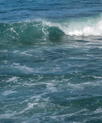 Fototapeta premium Breaking Wave in Waikiki with foam and Spray,.