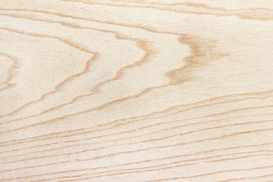 Swamp Ash (Green Ash, Red Ash (Fraxinus caroliniana)) texture with distinctive flatsawn grain pattern.  Sought after wood for guitar making for its resonant properties. Sharp to the corners.
