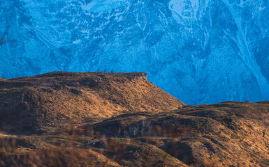carros de color café con arboles de baja altura en contraste con montaña nevada de color azul