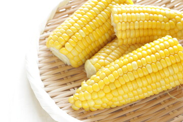 Boiled Japanese sweet corn on bamboo basket with copy space for summer food image