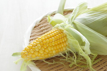 How to Cook Corn on The Cob in The Microwave