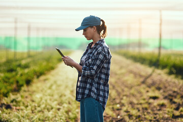 Farmer with tablet checking growth, monitoring farming progress and managing farm export orders on technology. Serious woman, gardener and environmental scientist analyzing greenhouse data on estate