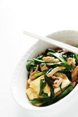 Chinsese food, pork and leek simmered braised with Tofu