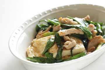 Chinsese food, pork and leek simmered braised with Tofu