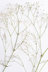 fondo de flor de nube blanca sobre fondo blanco