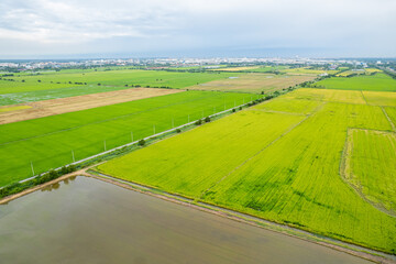 high angle view of farm, grow plants, nice landscape