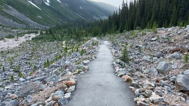 Stunning views of an empty hiking trail valley in Jasper National Park, Alberta, Canada. Mount Edith Cavell glacier area. 