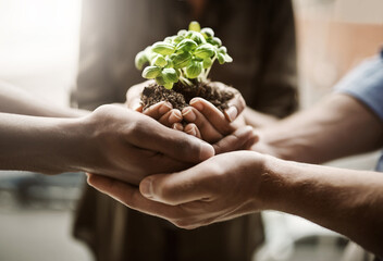 Community hands together holding plant life for growth, support and a green natural lifestyle....