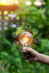 Fototapeta premium Light bulbs that grow, in the concept of energy in nature.