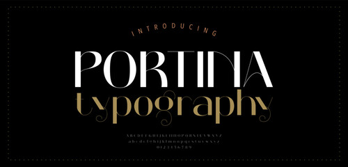 Elegant alphabet letters font. Classic Modern Serif Lettering Minimal. Typography and number decoration fonts for branding, wedding, logo. vector illustration