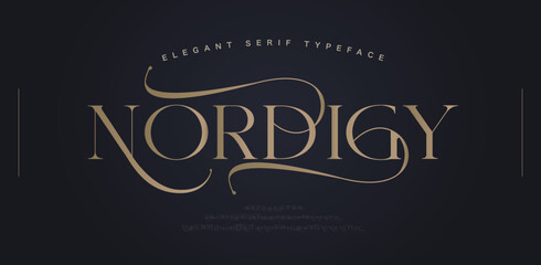Elegant classic alphabet serif fonts decorative wedding retro concept. Typography Retro vintage alphabet letters fonts and number. vector illustration - 521554276