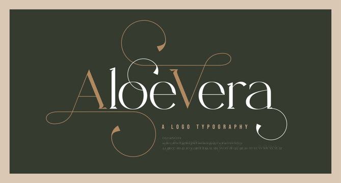 Luxury wedding alphabet letters font and number. Typography elegant classic lettering serif fonts decorative vintage retro with tails concept. vector illustration