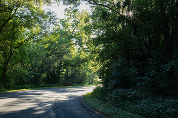 A curve on a shady, narrow road with the sun forming a starburst on the upper right side.