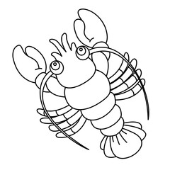 Shrimp outline cartoon design on transparent background