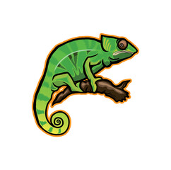 chameleon vector 