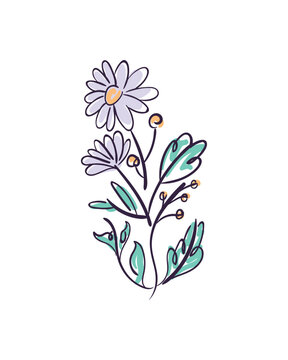 flat daisies design