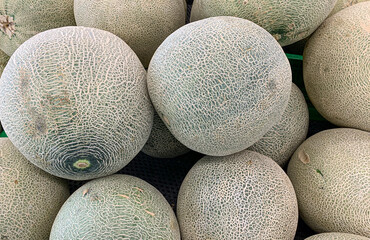 Yellow Melon (Cucumis melo L.) on supermarket