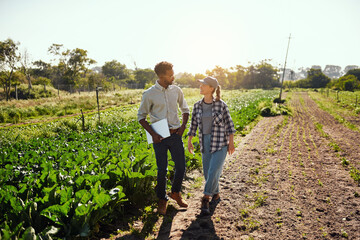 Agriculture, farming and diverse farmers walking and talking while working together on an organic...