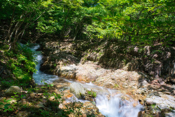 龍王峡