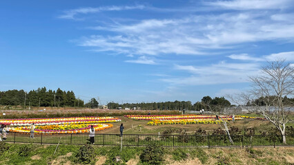 富田さとにわ耕園