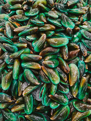 Fresh cockles. Seafood background or fresh green clams on a stall in a Indonesia local market.