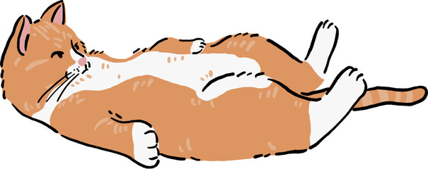 Ginger cat belly up funny pose Animal Color illustration