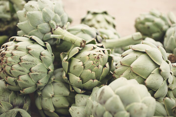 Fototapeta premium A view of several artichoke heads, on display at a local farmers market.
