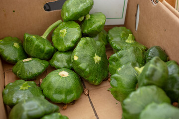 A view of a box full of green pattypan squash, on display at a local farmers market.