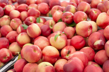 A view of large pile of nectarines, on display at a local farmers market.