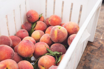 A view of a stack of peach crate, on display at a local farmers market.