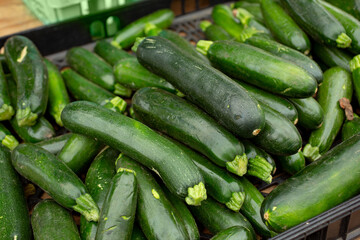 A view of a large pile of zucchini, on display at a local farmers market.