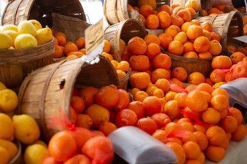 A view of a display of several citrus varieties, seen at a local farmers market.