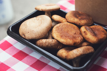 A view of a tray of shiitake mushrooms.