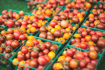 A view of several cartons full of colorful cherry tomatoes.