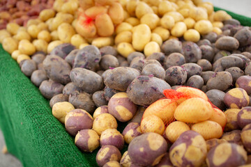 A view of a table display of a variety of potatoes, seen at a local farmers market.