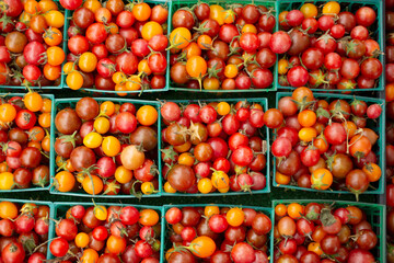 A top down view of several cartons full of colorful cherry tomatoes.