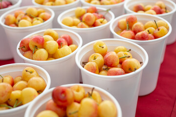 A view of several plastic containers full of Rainier cherries, on display at a local farmers market.