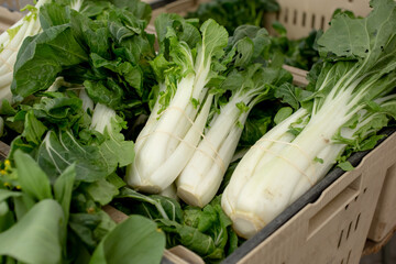 A view of a crate full of bok choy vegetables, on display at a local farmers market.