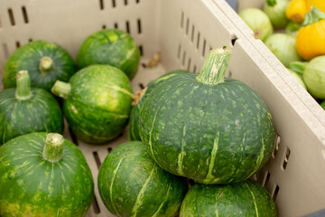 A view of a crate full of kabocha squash, on display at a local farmers market.