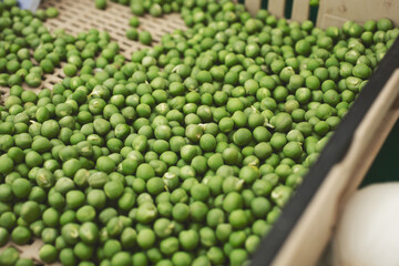 A view of a crate full of English peas, on display at a local farmers market.