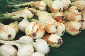 A view of a pile of onions on the stalk, on display at a local farmers market.