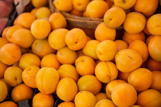 A view of a large pile of apricots, on display at a local farmers market.