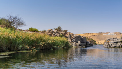 Fototapeta na wymiar A quiet backwater in the riverbed. There are thickets of reeds near the shore, duckweed on the water. Picturesque boulders and a sand dune against a clear blue sky. Egypt. Nile. Aswan
