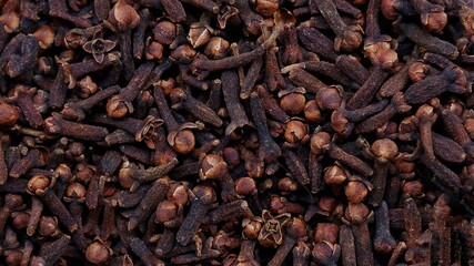dried cloves. Syzygium aromaticum. the aromatic flower buds of a tree in the family Myrtaceae,...
