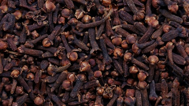 dried cloves. Syzygium aromaticum. the aromatic flower buds of a tree in the family Myrtaceae, native to the Maluku Islands in Indonesia.  commonly used as a spice, flavoring or fragrance
