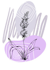 Set of Abstract lavender Hand Painted Illustrations for Wall Decoration, minimalist flower in sketch style. Postcard, Social Media Banner, Brochure Cover Design Background. Modern Abstract Painting Ar