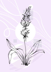 Set of Abstract lavender Hand Painted Illustrations for Wall Decoration, minimalist flower in sketch style. Postcard, Social Media Banner, Brochure Cover Design Background. Modern Abstract Painting Ar